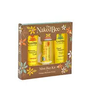 The Naked Bee Mini Bee Kit